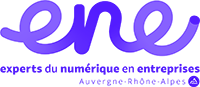 ENE, Espace Numérique Entreprises