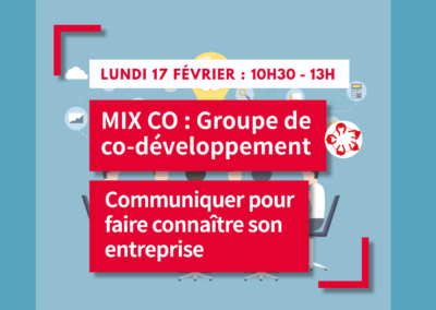 MIX CO : Groupe de co-développement